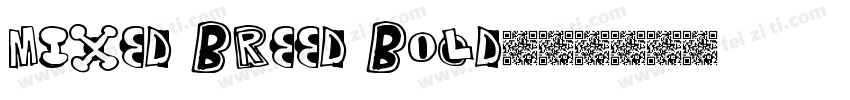 Mixed Breed Bold字体转换